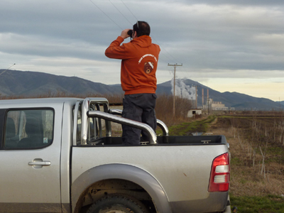 Αρκούδα εγκλωβίστηκε σε Ατμοηλεκτρικό Σταθμό στην Κοζάνη
