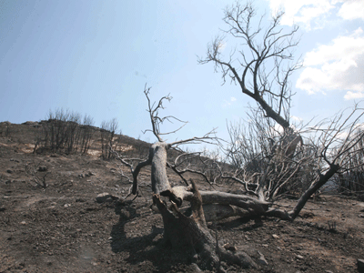 Υπέκυψε αφού την έκαψε ζωντανή ο σύζυγος της