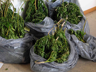 Πουλούσαν κάνναβη σε μαθητές