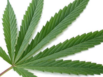 Τον έπιασαν για κάνναβη