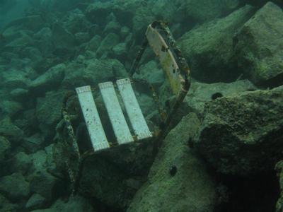 «Μαραθώνιος» καθαρισμός βυθού σε Βουλιαγμένη και Βάρκιζα