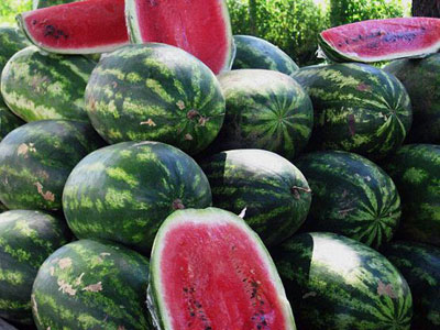 “Έβρασαν” τα καρπούζια στην Ηλεία