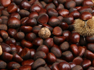 Γιορτή του κάστανου και του τσίπουρου