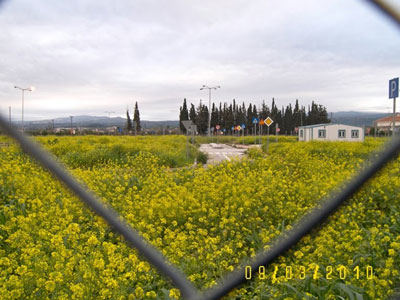 Στο κυκλοφοριακό πάρκο… βόσκουν πρόβατα