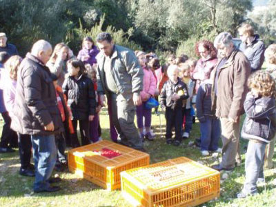 Απελευθέρωσαν φασιανούς και πέρδικες