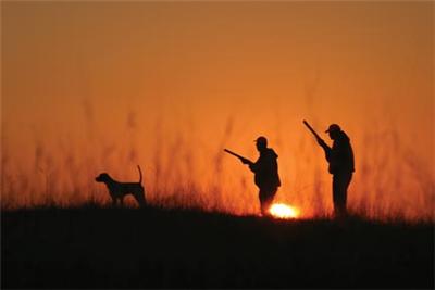 Κυνηγοί πλακώθηκαν στο ξύλο