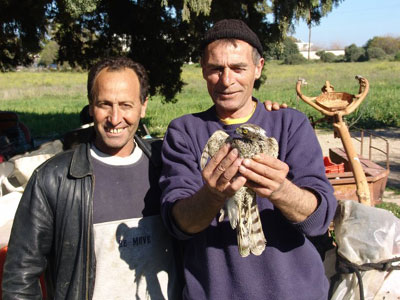 Έσωσαν κιρκινέζι