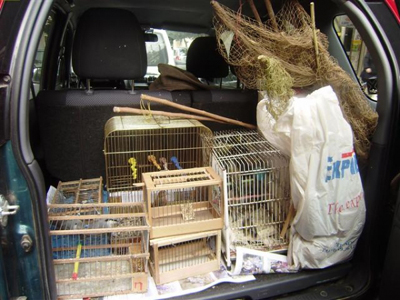 Απελευθέρωσαν πουλιά που είχαν αιχμαλωτιστεί παράνομα