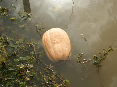 Ζημιές σε 180.000 στρέμματα σε Βοιωτία και Φθιώτιδα