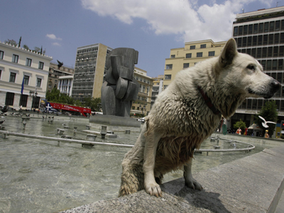 Διαμαρτυρία για το καλό των ζώων έξω από τη Βουλή και το Δημαρχείο της Αθήνας