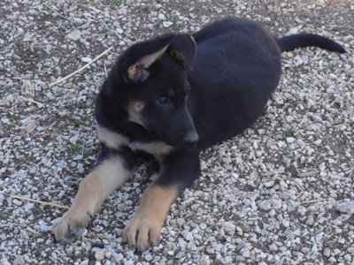 Χαρίζονται αλλά δεν είναι δώρο της πλάκας…