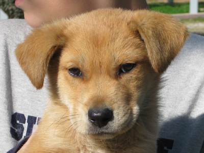 Χαρίζεται ο μικρός Πάολο