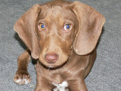 Επέζησε αν και τον βασάνισαν πολύ