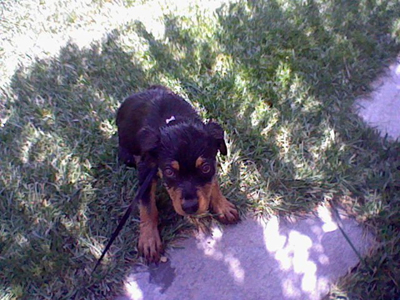 Αναζητούν τον Μάρλεϊ