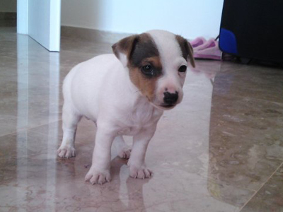 Χάθηκε στο Ναύπλιο