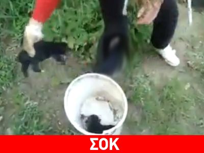 Ανήλικη πνίγει σε ποτάμι κουτάβια