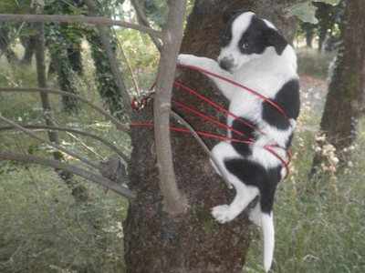 Τι έκανε ο γελοίος!
