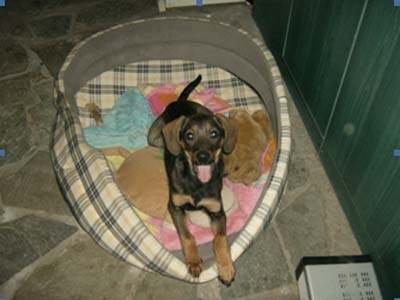 Χρειάζεται μια οικογένεια