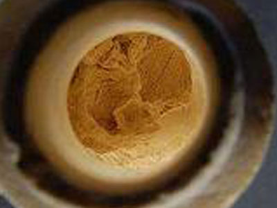 Κρέμα με μαστίχα σε ετρουσκικό τάφο 2.000 ετών