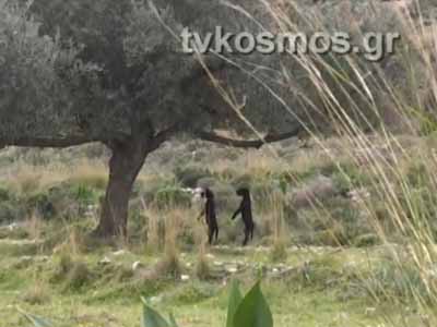 Η μεγαλύτερη δυνατή ποινή για τον τσοπάνη