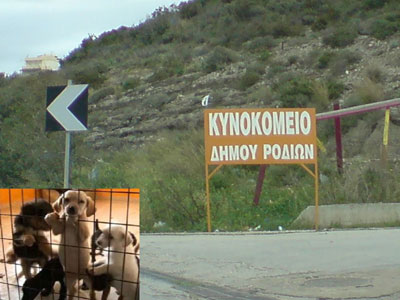 Τι συμβαίνει στο Δημοτικό Κυνοκομείο Ρόδου;