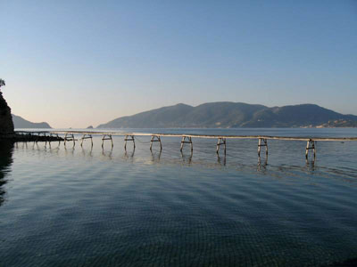 Ακόμα μαζεύουν ναρκωτικά απ’ την παραλία