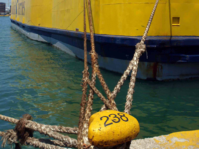 Συνελήφθη για παράνομη μεταφορά μετανάστη