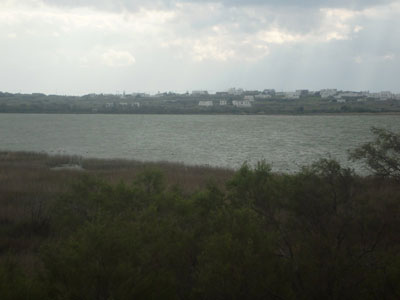 Λαθροκυνηγοί πυροβολούν τα πουλιά της λιμνοθάλασσας