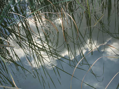 Φθινοπωρινές εκδρομές από τον Οργανισμό Εργατικής Εστίας