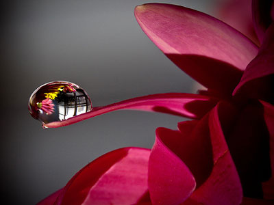 Λένε το νερό… νεράκι