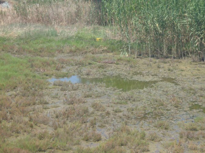 Οι ελεγκτές Περιβάλλοντος και Πολεοδομίας στην Κω