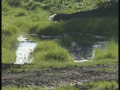 Λυματολάσπη καλής ποιότητας;