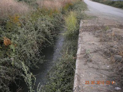 Πετούν λύματα στην αρδευτική τάφρο!