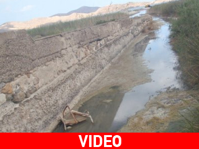 Φταίνε τα λύματα για τις σκνίπες