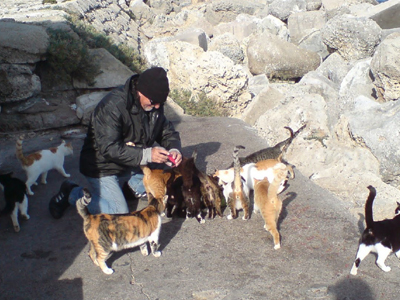 Ταΐζει τις εφτάψυχες