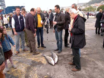 Γιατί ο νομάρχης Φθιώτιδας μείωσε τα πρόστιμα για τον Μαλιακό;