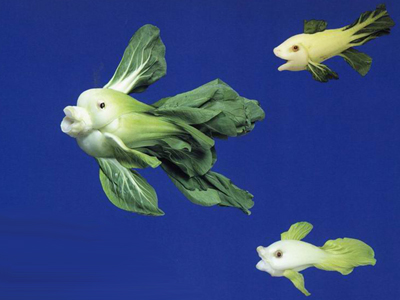 Δημιουργίες των σεφ!