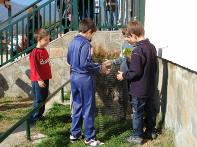 Δίνω ζωή στα σκουπίδια μου