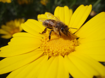 Διαμαρτύρονται οι bloggers για τα ραντίσματα