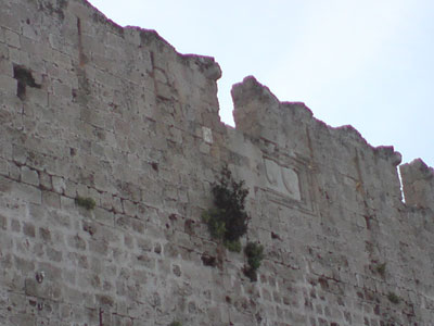 Κρεμαστοί κήποι στα τείχη της μεσαιωνικής πόλης