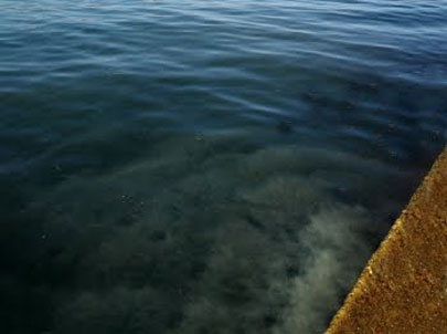 «Εκρηκτική» η κατάσταση στην Άνδρο χωρίς βιολογικό καθαρισμό