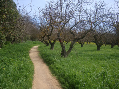 Εντοπίστηκαν οι ορειβάτισσες στον Όλυμπο
