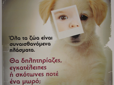 Σύμμαχος στις προσπάθειες των φιλόζωων για τα αδέσποτα ο δήμαρχος!