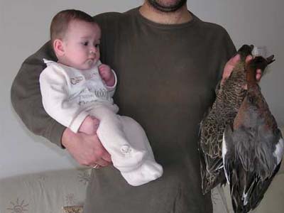 Λήγει η κυνηγετική περίοδος… χιλιάδες τα θύματά της