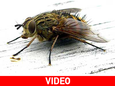 ipad ή εφημερίδα;