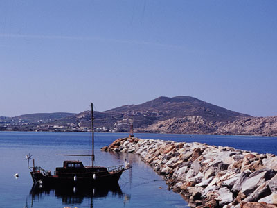 Α’ Τοπικό Φεστιβάλ στο Πάρκο Πάρου