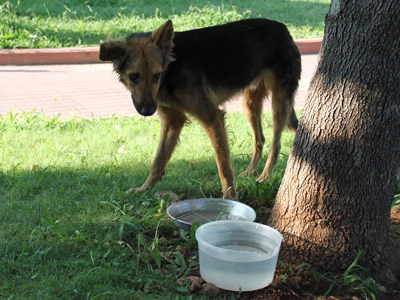 Τον ψάχνουν