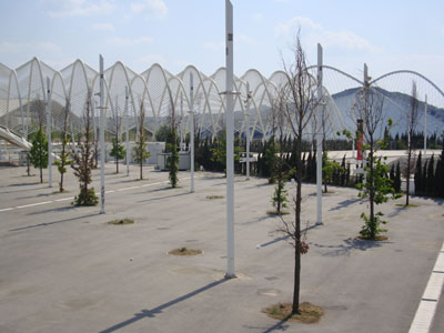 Ξεραίνονται τα δέντρα γύρω από το Ο.Α.Κ.Α.