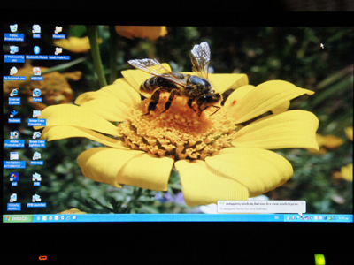 Ο ληστής πυροβόλησε για εκφοβισμό