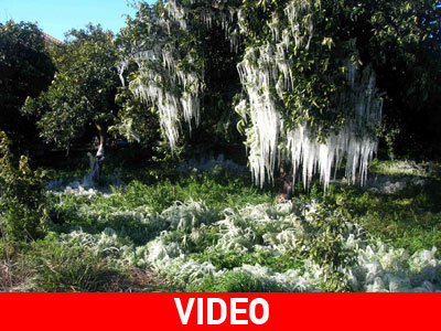 Ξεκινά η καταγραφή των κατεστραμμένων καλλιεργειών